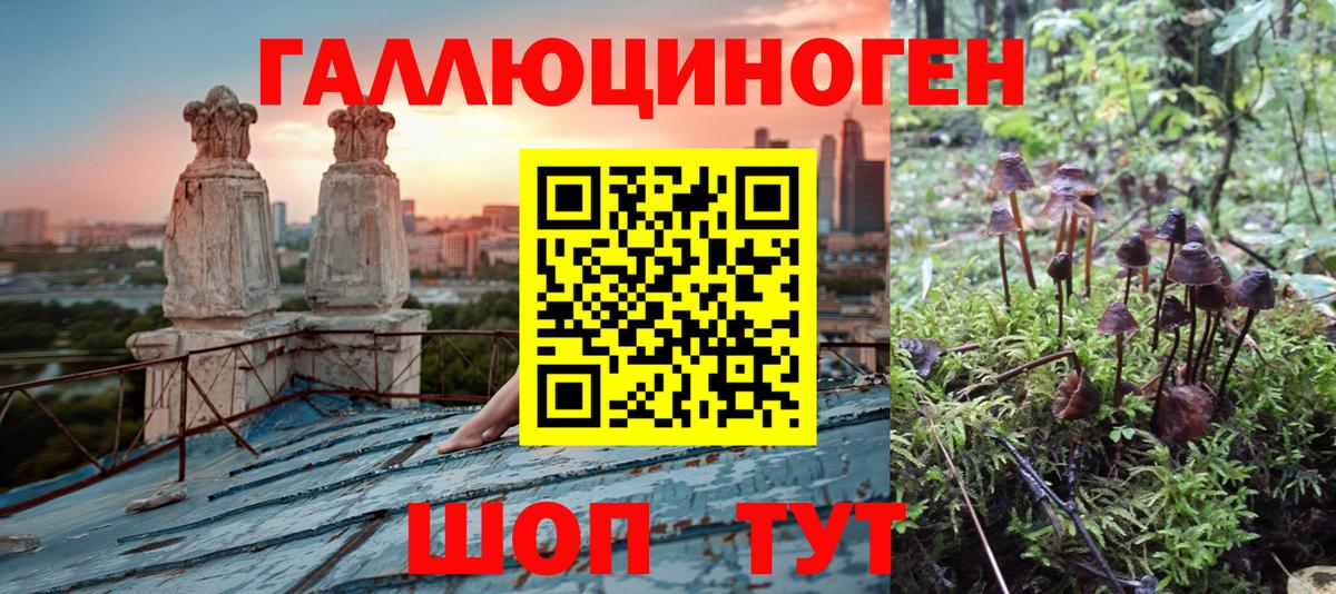Псилоцибиновые грибы мицелий Туймазы