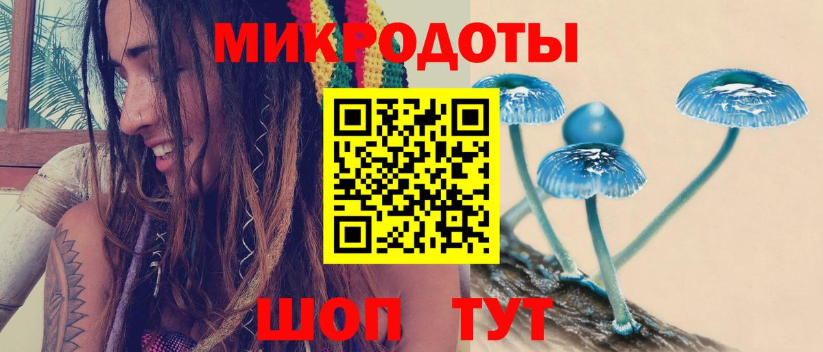 Галлюциногенные грибы GOLDEN TEACHER  цена   Туймазы  Вход с VPN 